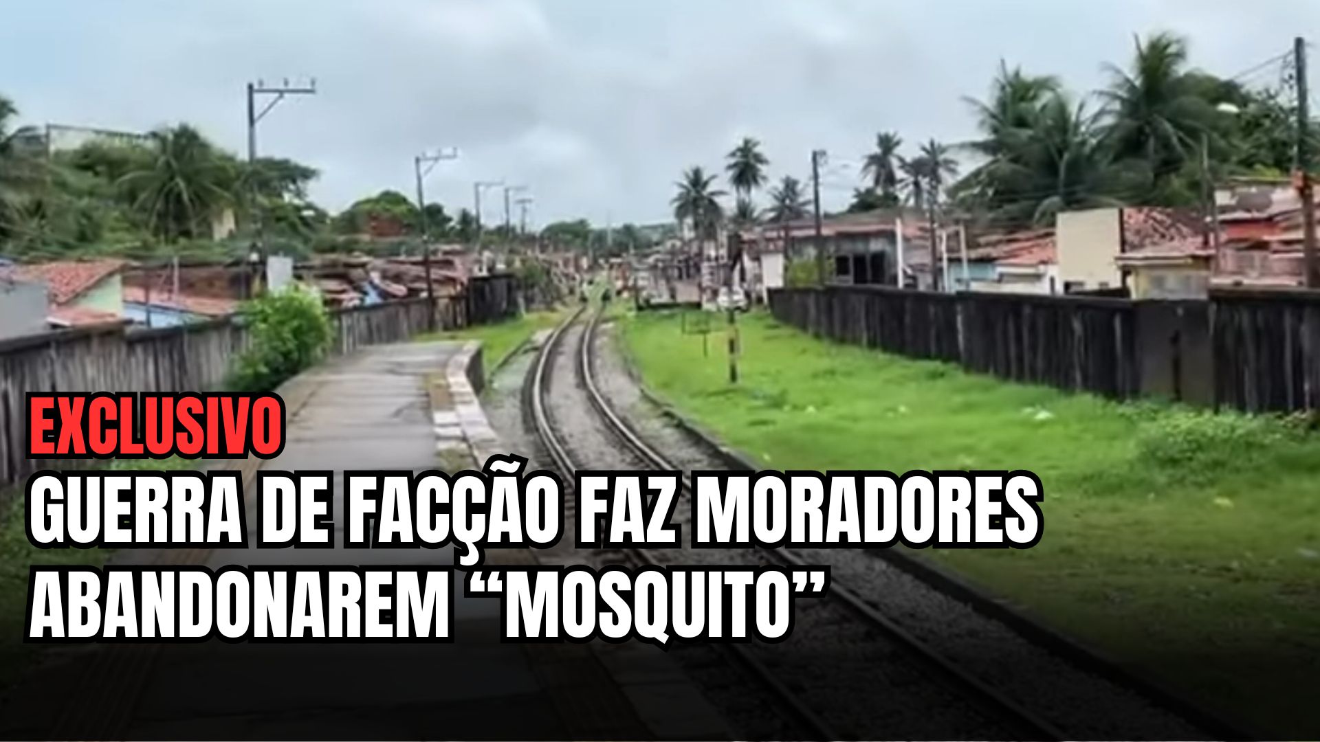 [VIDEO] Exclusivo: Guerra PCC x Sindicato do Crime transforma Mosquito em "bairro fantasma"