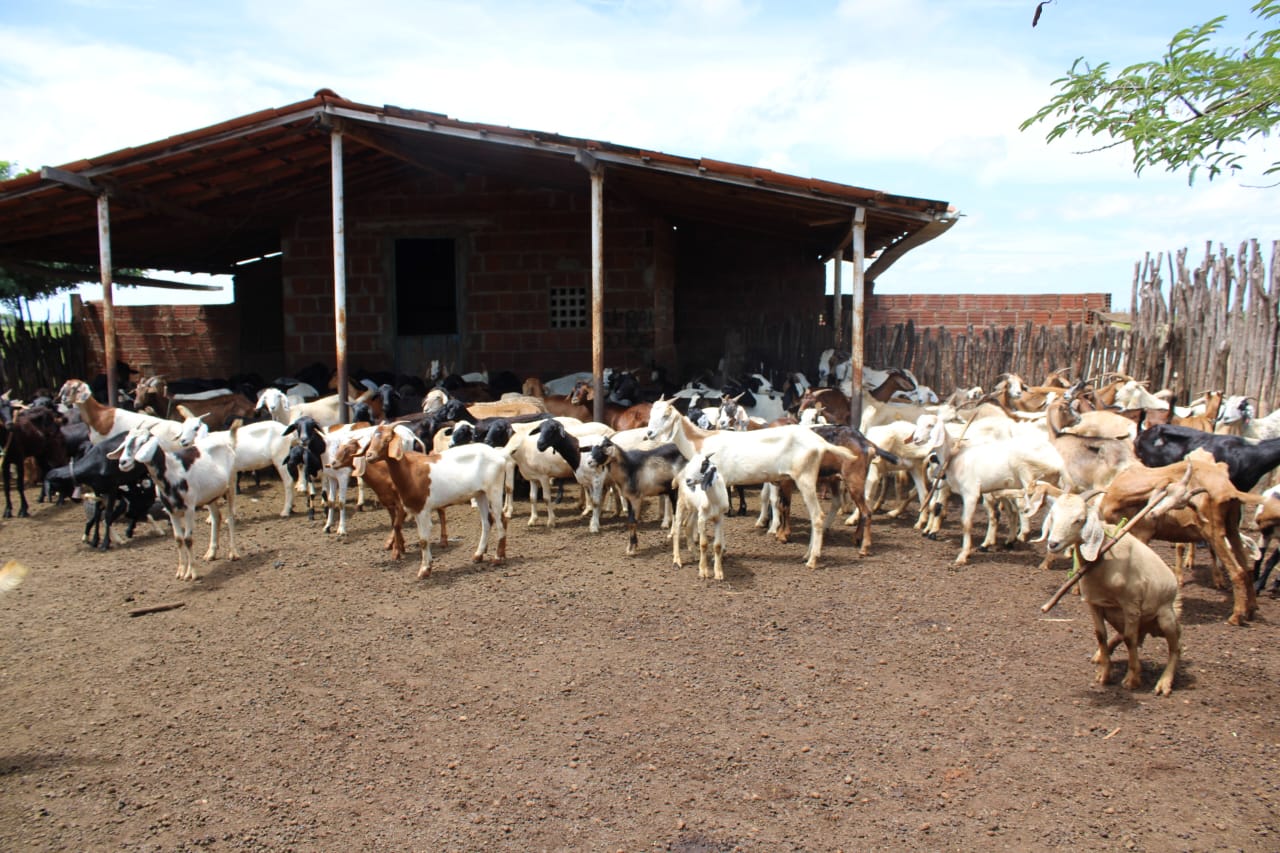 Programa “Mossoró Rural” leva ações para o homem do campo