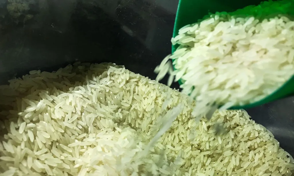 Governo vai subsidiar arroz importado para segurar preço