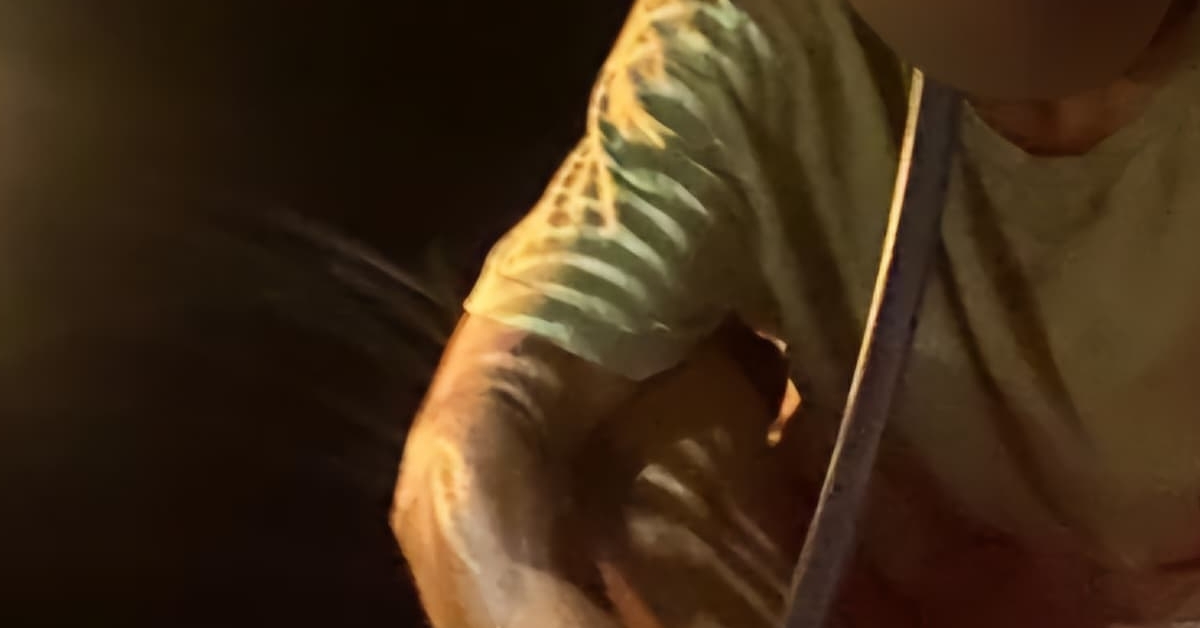 42044_Original.jpeg