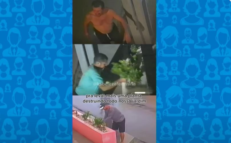 Capturar.JPG