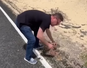 FireShot Capture 3559 - JORNALISTA MOSTRA CONDIÇÃO DA ESTRADA RECÉM INAUGURADA PELO PT - You_ - www.youtube.com.jpg