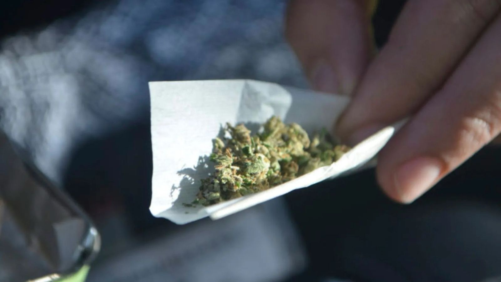 maconha.jpeg