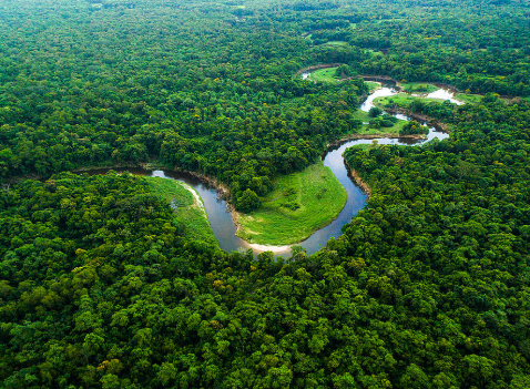 AMAZONIA.PNG