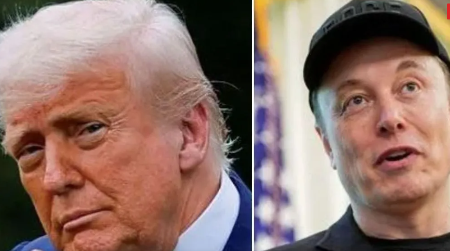TRUMP E ELON.PNG