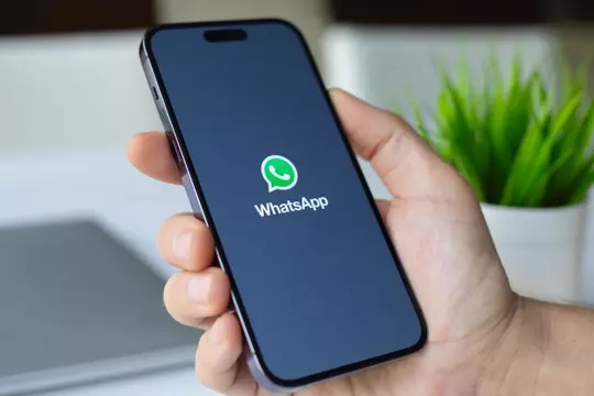 Whatsapp | Foto: Divulgação