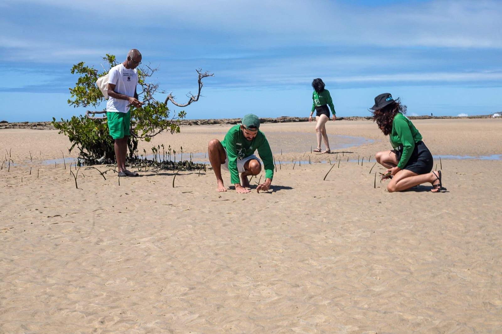 Prefeitura planta 700 mudas na Praia do Forte em alusão ao Dia de Proteção aos Manguezais | Crédito: Roberto Galhardo/SEMSUR