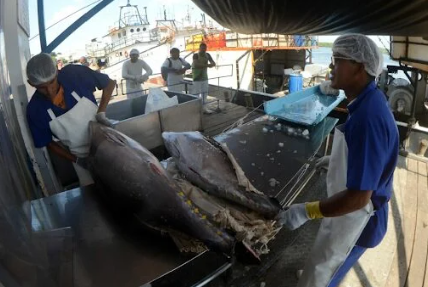 FireShot Capture 238 - Setor da pesca quer isenção de ICMS e suspensão de contratos de tra_ - [tribunadonorte.com.br].png