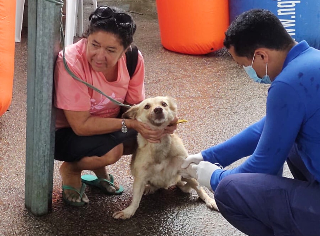 Vacinação cachorro | Crédito: Foto: SMS