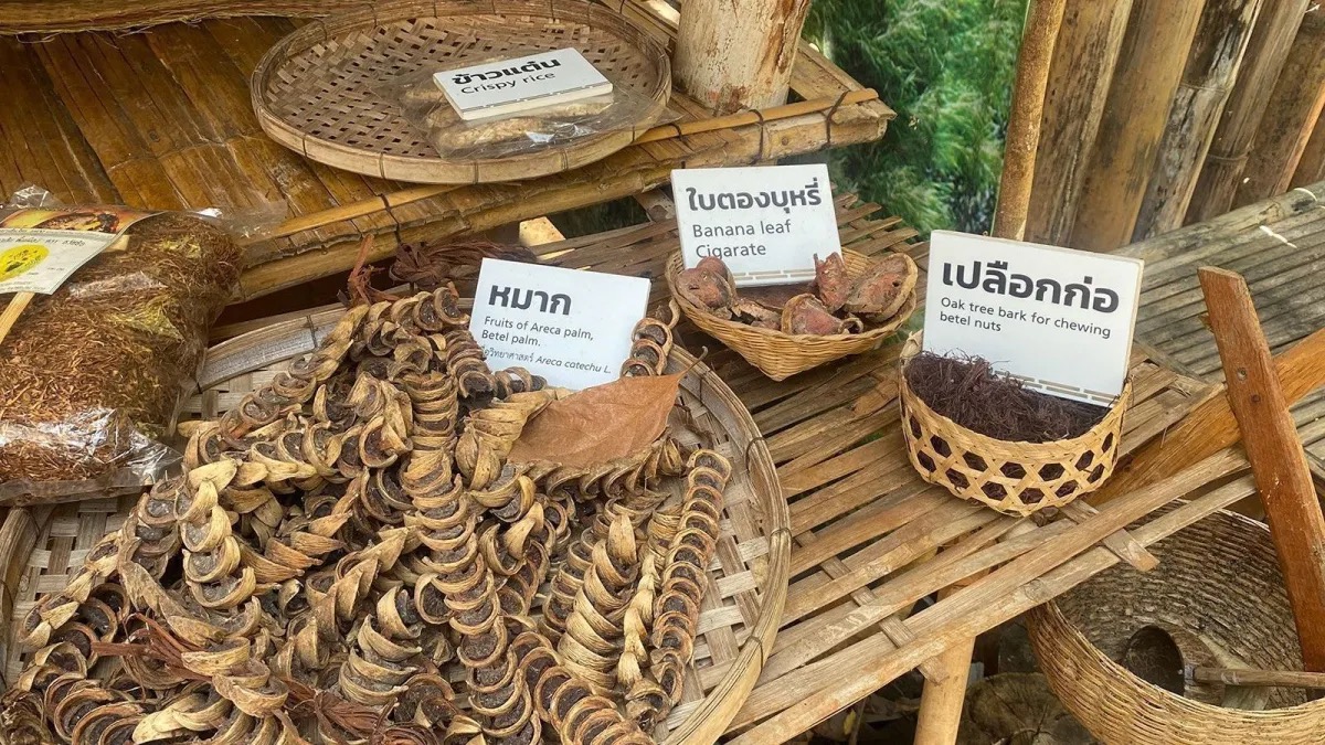 Arqueólogos ainda estão desenterrando fragmentos de comunidades antigas em Nong Ratchawat, Tailândia, onde já encontraram os restos mortais de 156 indivíduos  • Courtesy Shannon Tushingham via CNN Newsource