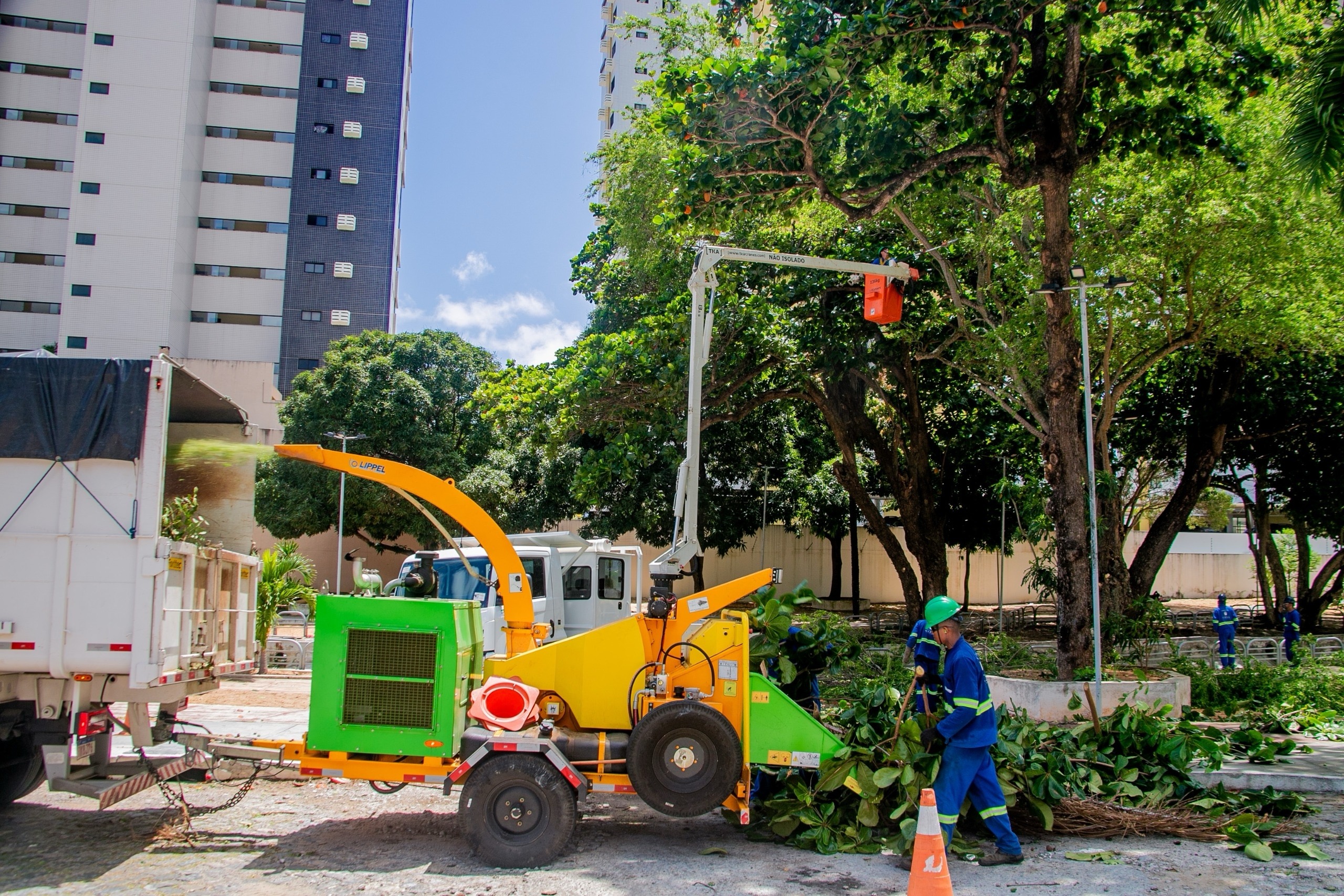 Poda de arvores em Natal | Crédito: Roberto Galhardo/ Semsur