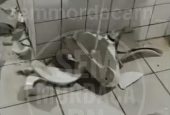 Foto: Reprodução / redes sociais