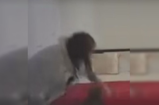 FireShot Capture 394 - “Chutou o rosto”, diz delegado sobre agressões de mãe à própria fil_ - [www.metropoles.com].png