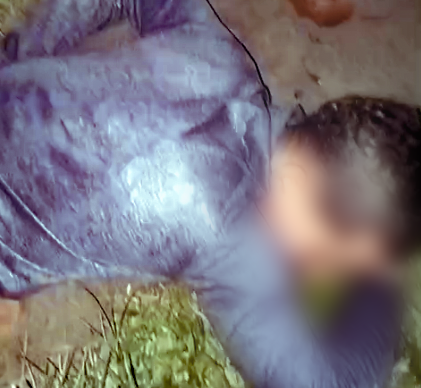 aaaa-e1757337325682.png