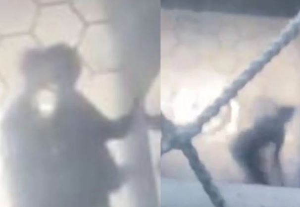Capturar.JPG
