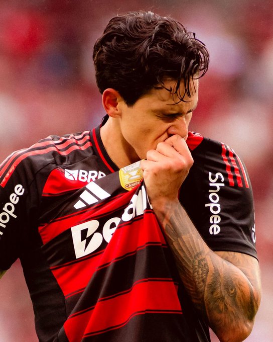 pedro_09.jpg