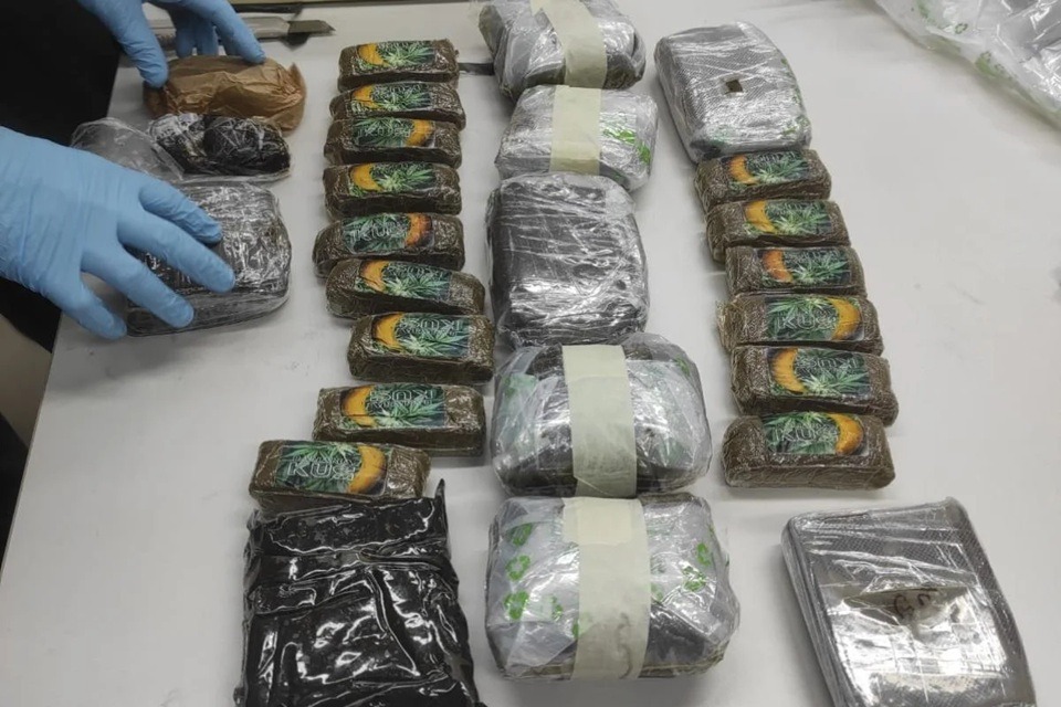 01K8X3TQSA9HC04CC3JFEQVJJN (1).jpg