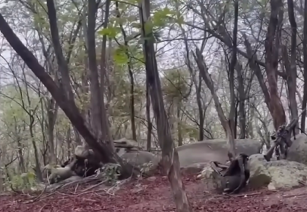 FireShot Capture 182 - (1) BOPE NO MORRO ESPERANDO BANDIDOS DO COMANDO VERMELHO - YouTube_ - [www.youtube.com].png