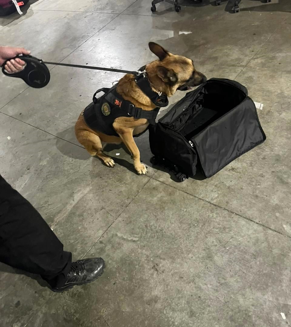 WhatsApp Image 2025-11-03 at 10.45.49.jpeg