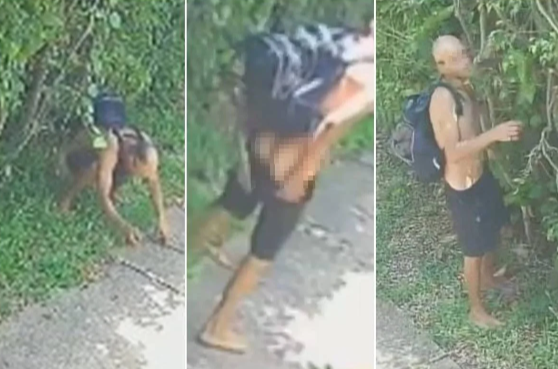 FireShot Capture 441 - Cagão defeca na porta de casa no DF antes de invadir para furtar_ - [www.metropoles.com].png