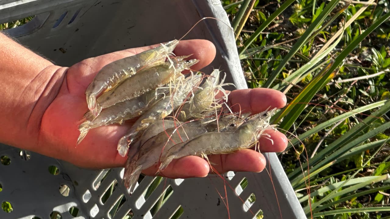 WhatsApp Image 2025-11-10 at 15.49.55.jpeg