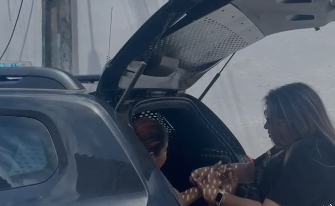 FireShot Capture 514 - (21) WhatsApp - [web.whatsapp.com].png