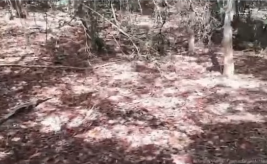 FireShot Capture 205 - Instagram - [www.instagram.com].png