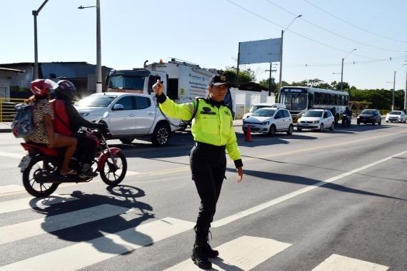 transito sttu | sttu