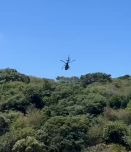 FireShot Capture 561 - (184) WhatsApp - [web.whatsapp.com].png