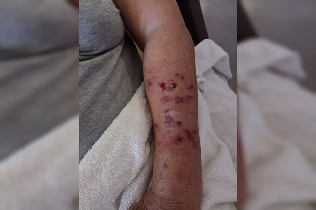 WhatsApp Image 2025-11-16 at 14.25.01.jpeg