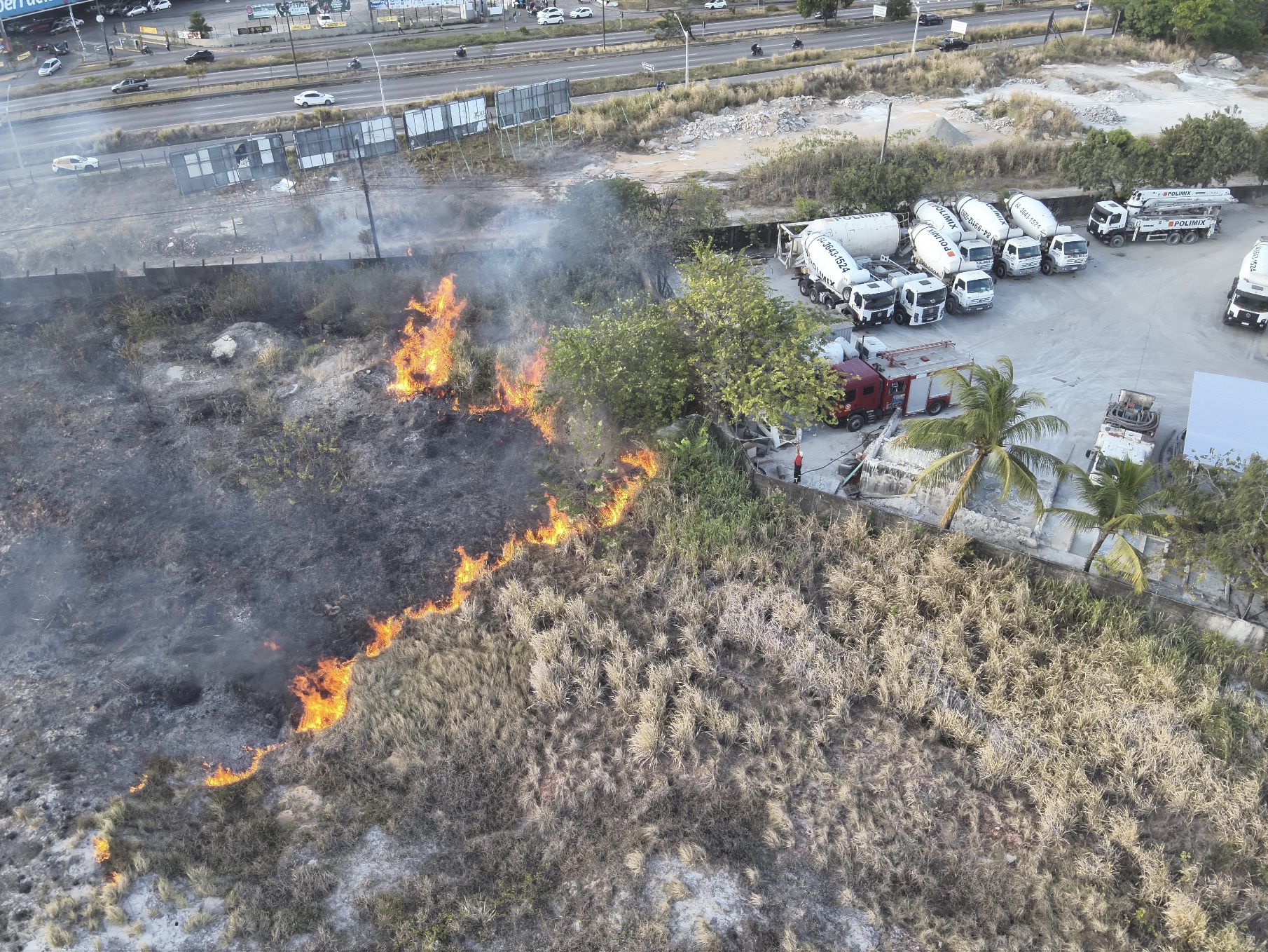 Incendio em vegetação