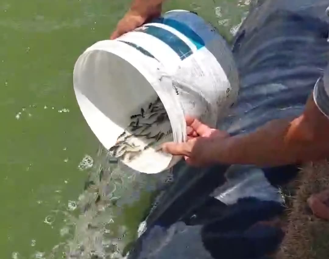 WhatsApp Image 2025-11-27 at 14.37.36.jpeg