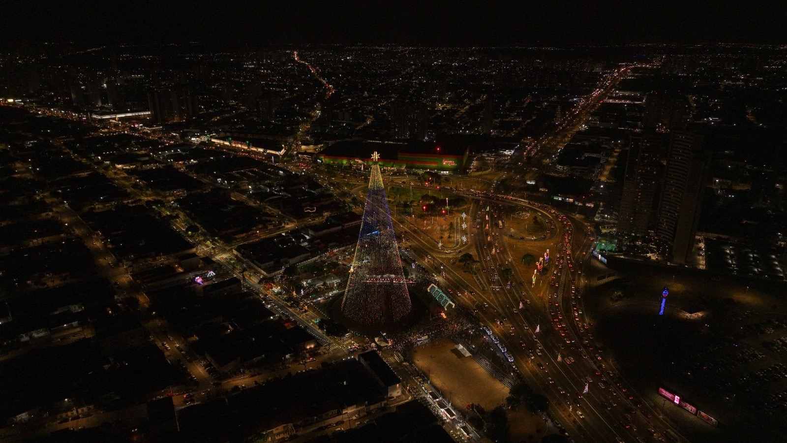 Arvore de Mirassol | Crédito: Secom