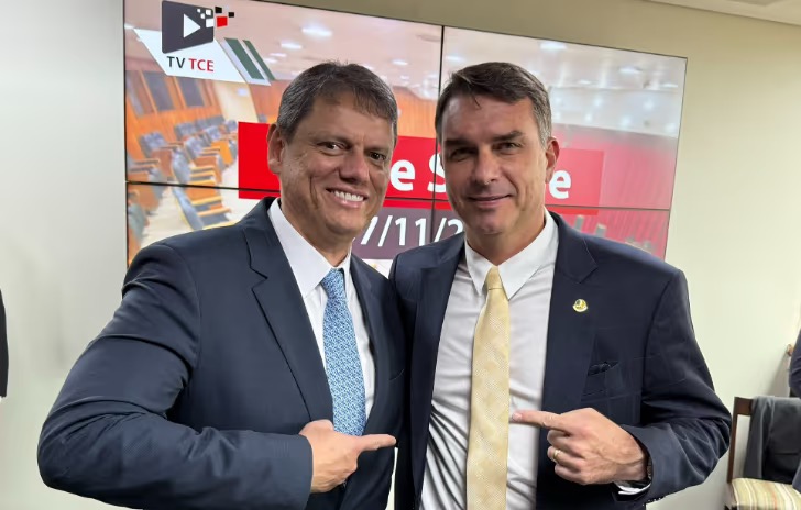 Tarcísio de Freitas e Flávio Bolsonaro. Reprodução