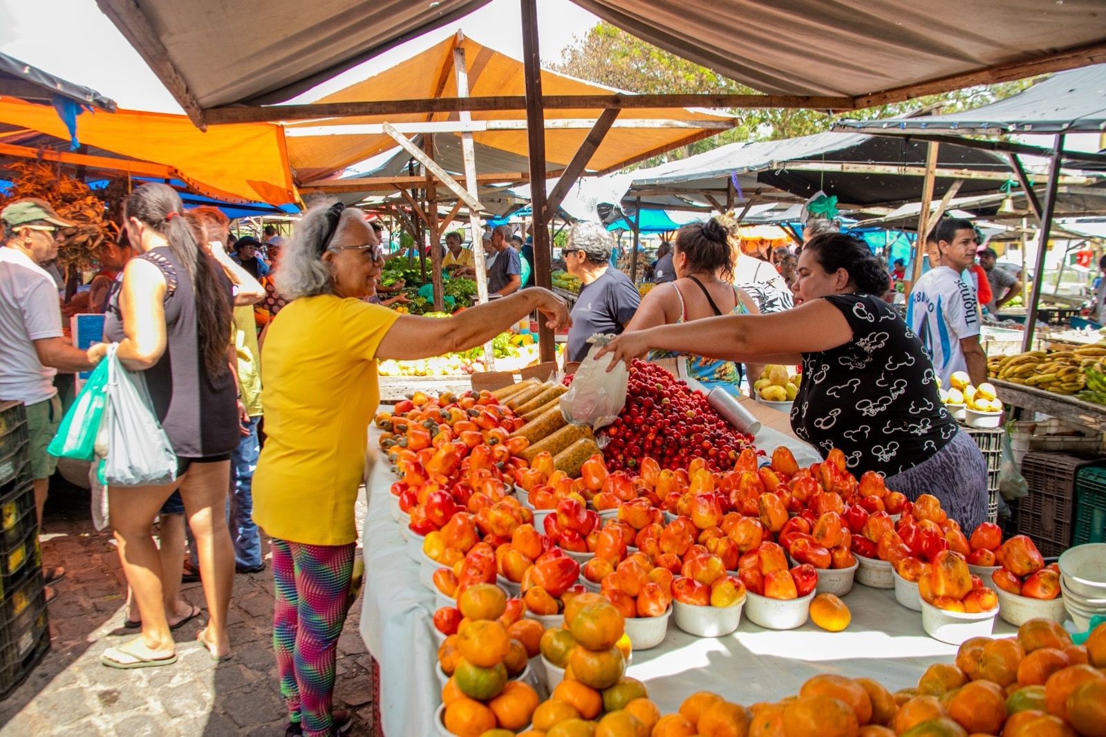 Feira livre em Natal | Crédito: Foto: Roberto Galhardo/Semsur