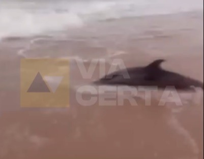 WhatsApp Image 2025-12-10 at 14.16.31.jpeg