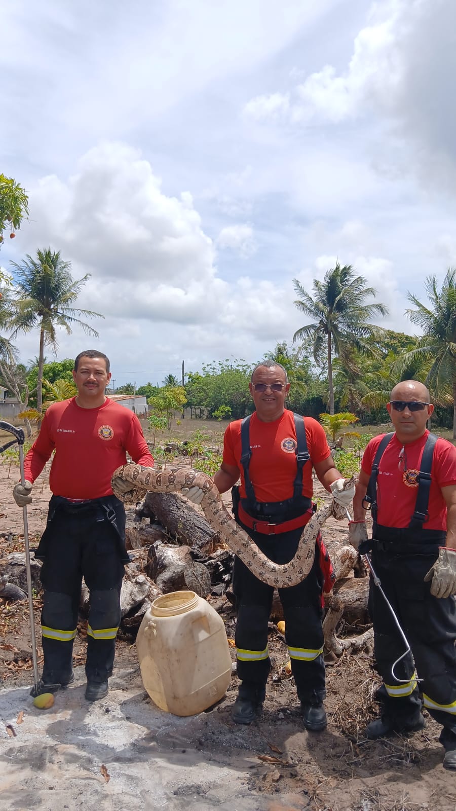 WhatsApp Image 2026-01-19 at 09.05.42.jpeg