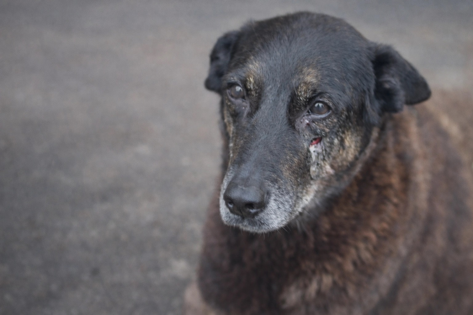 WhatsApp Image 2026-01-22 at 17.07.47.jpeg