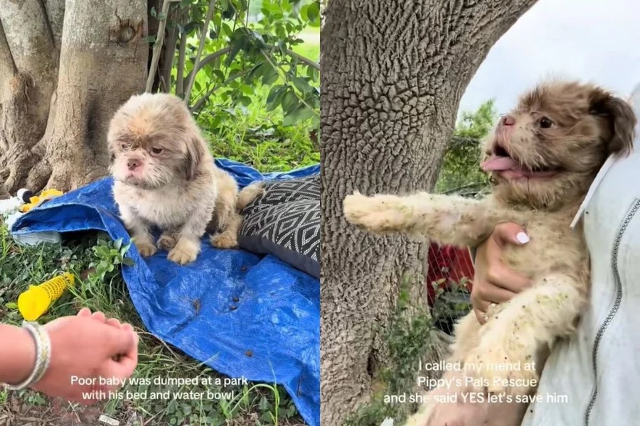 WhatsApp Image 2026-02-04 at 17.40.44.jpeg