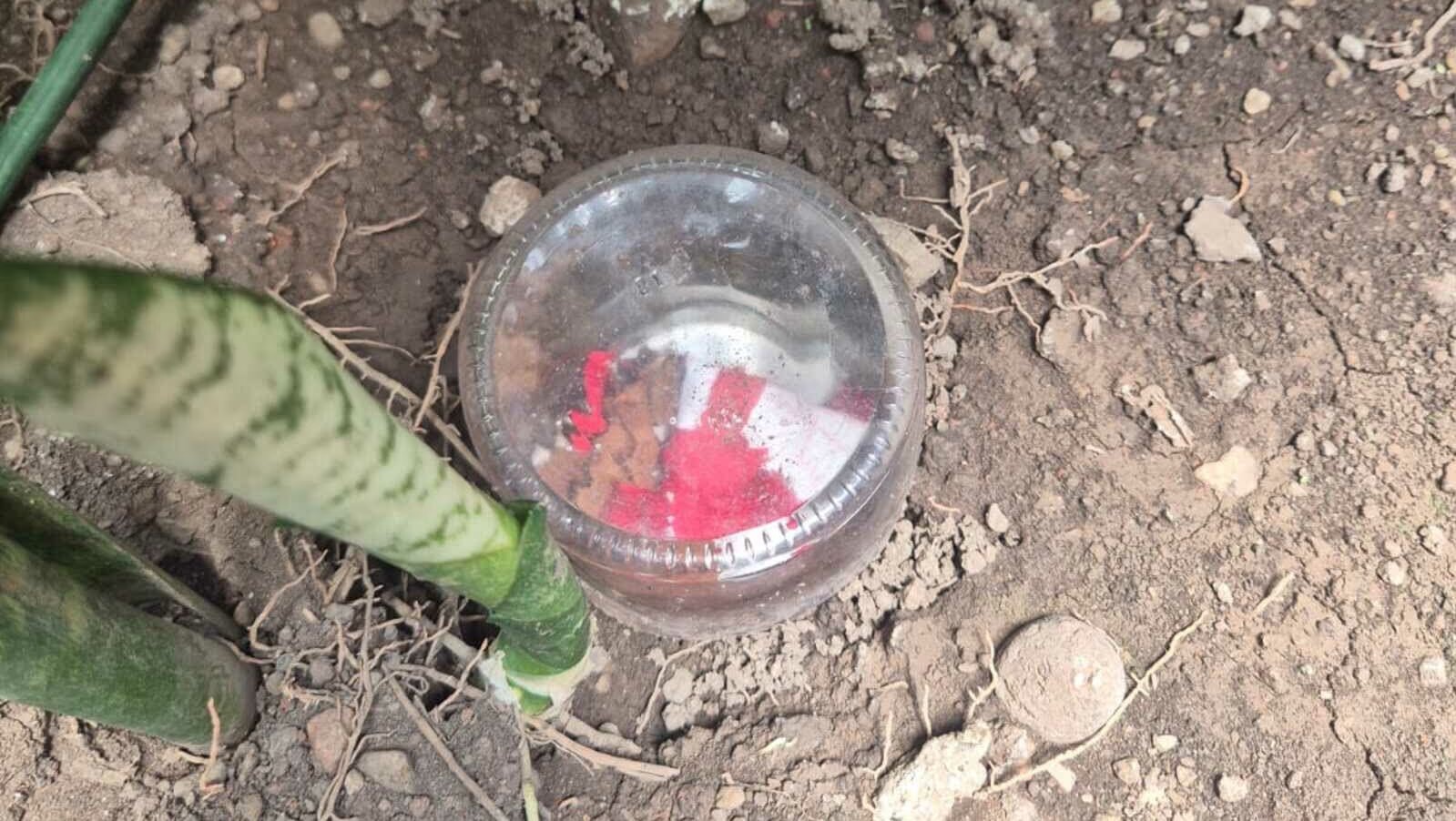 macumba | Foto: Reprodução/WhatsApp