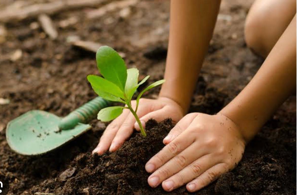 WhatsApp Image 2026-02-24 at 19.27.26.jpeg