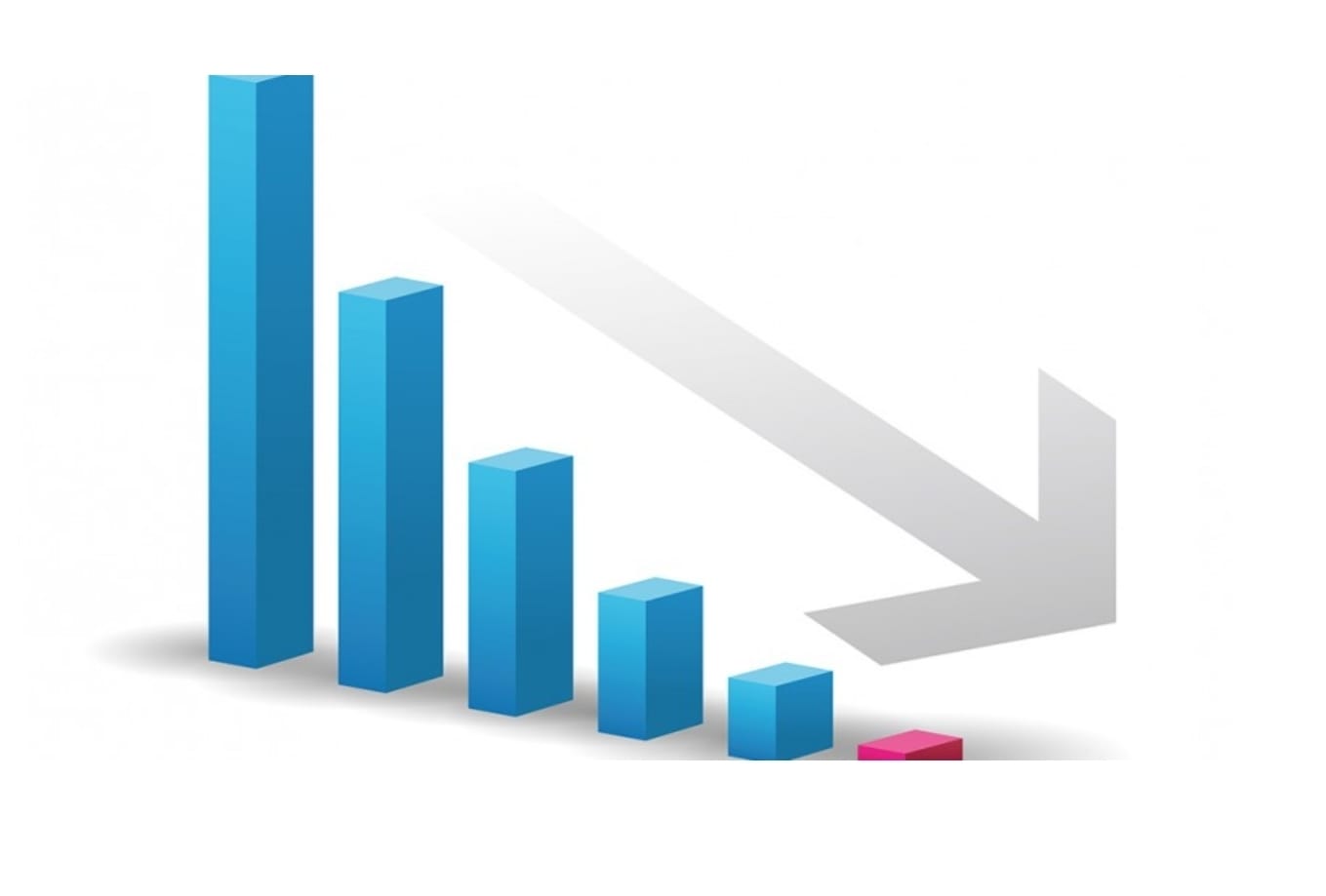 WhatsApp Image 2026-03-06 at 17.00.56.jpeg