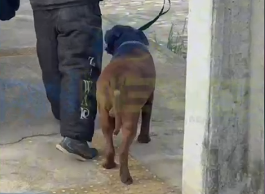 FireShot Capture 137 - (52) WhatsApp - [web.whatsapp.com].png