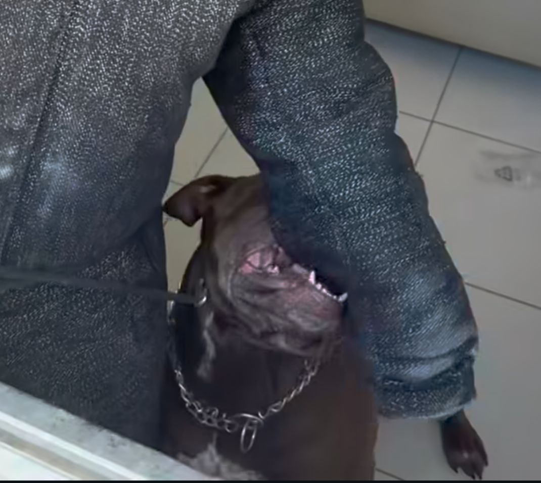 WhatsApp Image 2026-03-10 at 14.11.59.jpeg