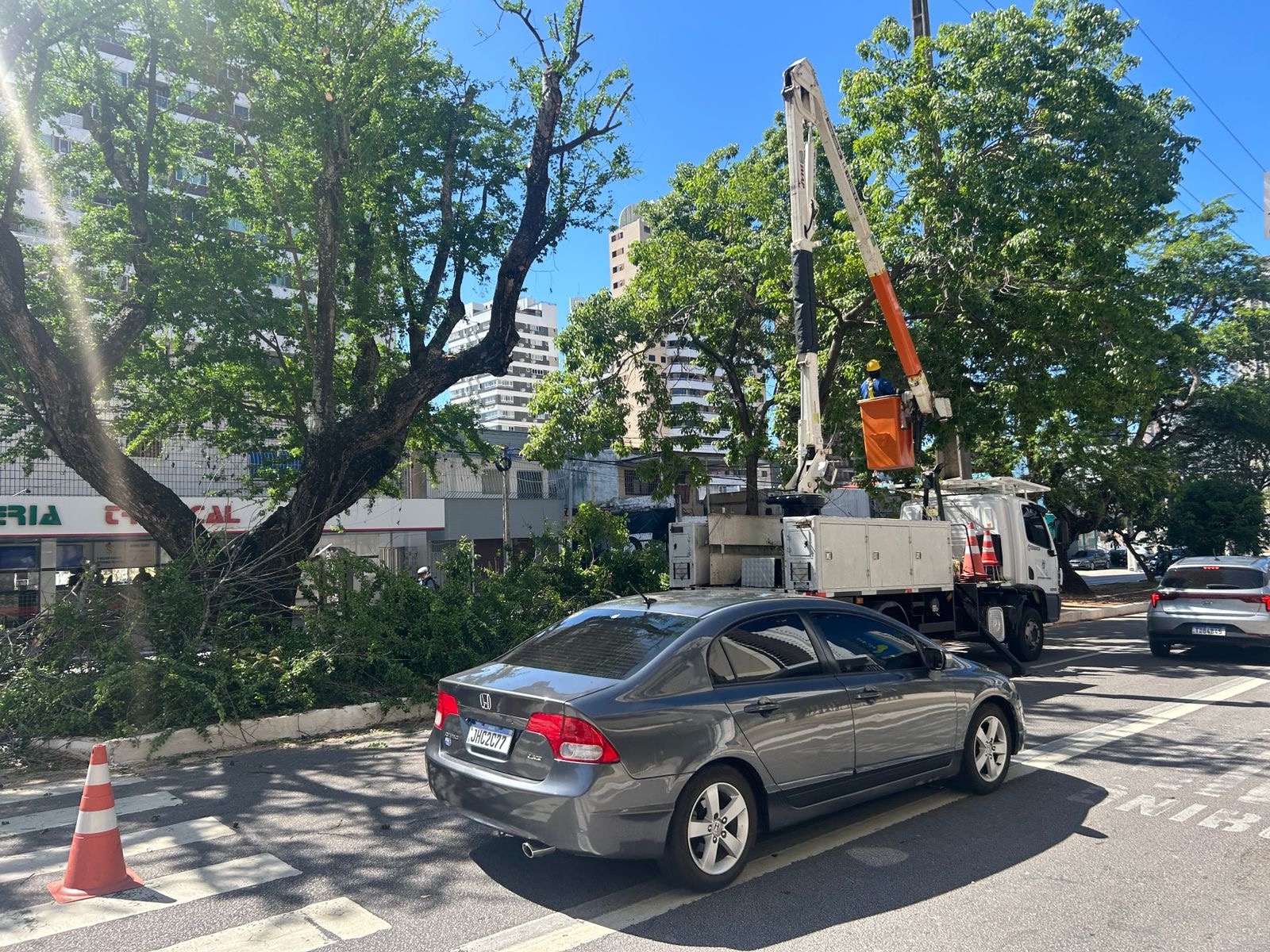 Poda de árvore em Natal | Crédito: Ilo Aranha
