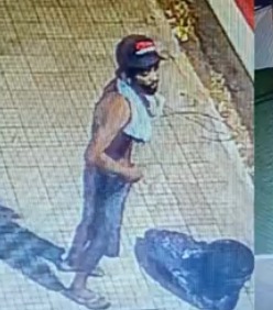 WhatsApp Image 2026-03-18 at 14.38.13.jpeg