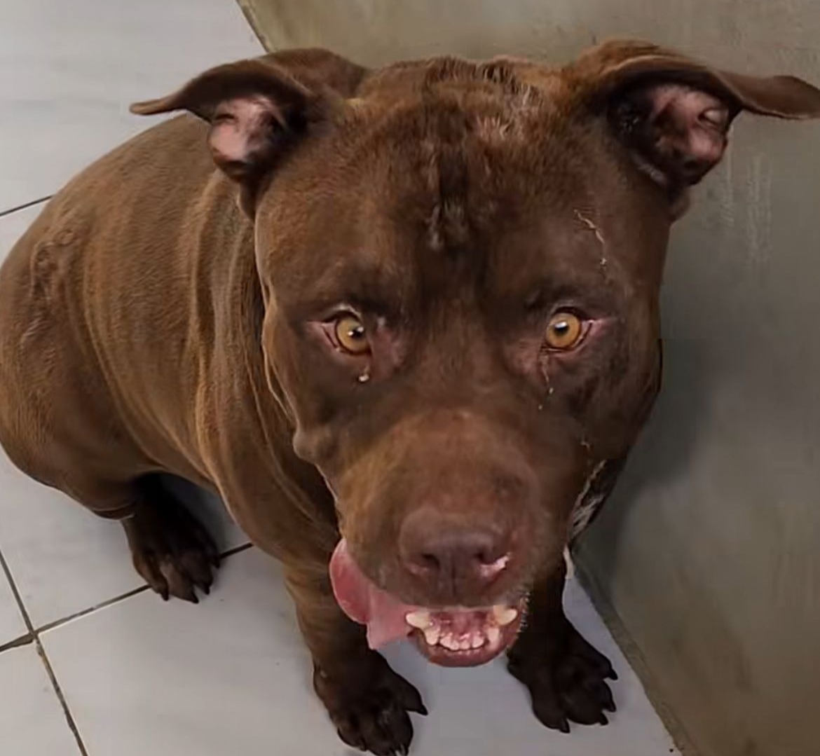 WhatsApp Image 2026-03-24 at 15.43.43.jpeg