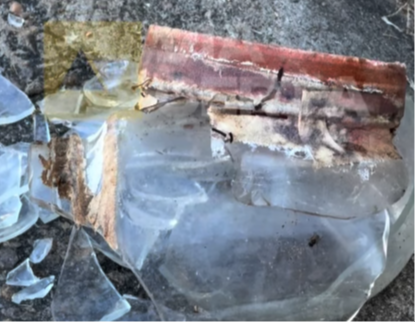 FireShot Capture 166 - Instagram - [www.instagram.com].png