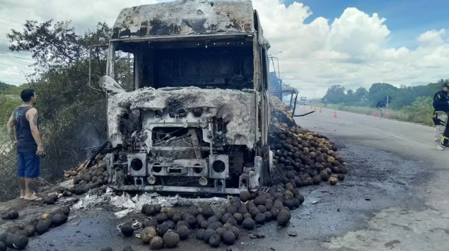 FireShot Capture 003 - Caminhão com carga de cocos é destruído por incêndio na BR-304 - G1_ - [g1.globo.com].png