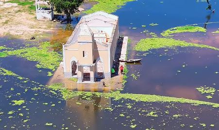 Oiticica - Foto: Reprodução/@jorge.luiz.guerra